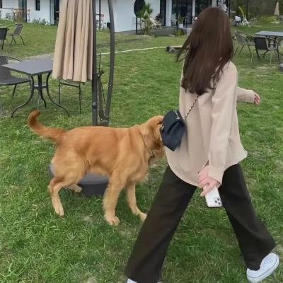 少年不哭